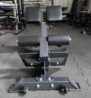 Équipement de gymnastique Chaise romaine Machine de fitness Presse pour jambes à 45 degrés Machine de banc d'hyper extension inversée