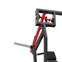 Máquina de pesas con placas Iso-Lateral Hammer Strength de Realleader, equipo de fitness comercial para entrenamiento de músculos del brazo