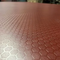 12mm 15mm 18mm anti-dérapant film noir face remorque plancher contreplaqué bouleau matériel camion plancher pour la décoration