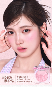 Prix de gros VEECCI nouveau blush en poudre double haute brillance qui peut illuminer et améliorer l'apparence - Product Image 3