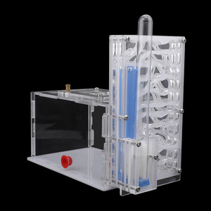 Villa e Terrario Trasparente in Acrilico per Formiche: Un Regno e un Palazzo per la Tua Colonia di Formiche - Product Image 1