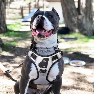 Harnais de soutien pour chien K9 homologué BSCI, avec sangles réglables, pour un confort optimal et un meilleur maintien. - Product Image 6