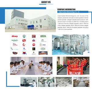 תוספי מזון סופר מתקדם מקורי Wpi חלבון מי גבינה לבודד אבקת בתפזורת תוסף בריאות בתפזורת - Product Image 6