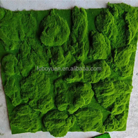 S02520 vente en gros de fausse mousse art mural plante de sphaigne panneau mural de mousse artificielle préservée mousse verte pour la décoration quotidienne de la maison