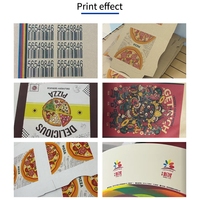 Imprimante numérique UV haute vitesse pour gobelets en papier, machine d'impression jet d'encre pour ventilateurs en papier, imprimante numérique UV à passage unique pour gobelets