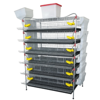 Cages à cailles empilables en acier galvanisé avec système intégré d'eau et de nourriture, conception en treillis métallique