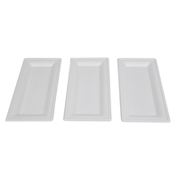 Heavy Duty Naturel 10x5 Pouces Rectangulaire Compostable Jetable Plaque Biodégradable Bagasse Pâte Alimentaire Restaurants Parties
