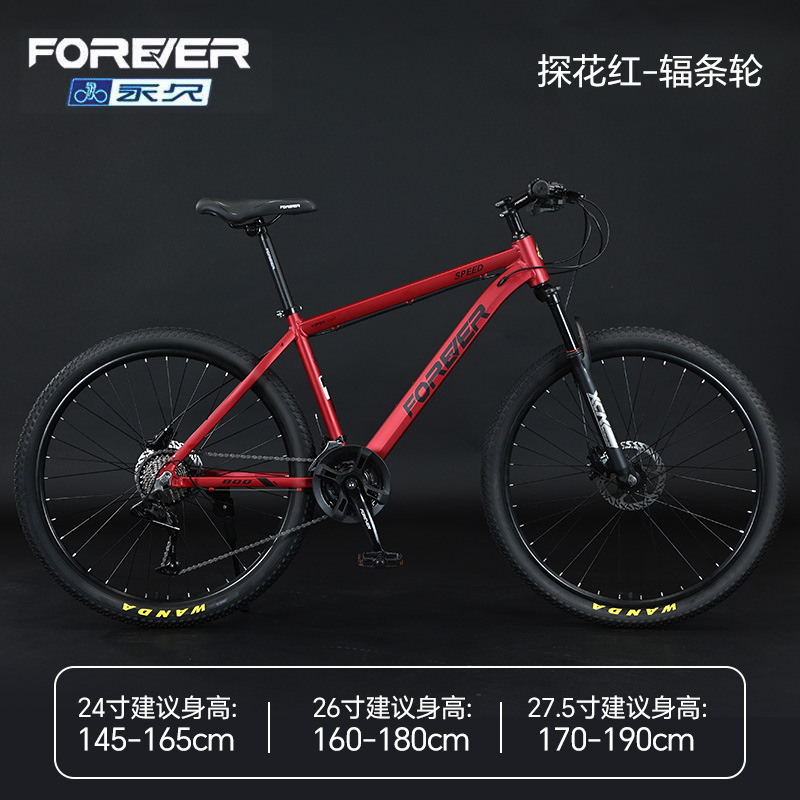 Steel frame - spoked wheels - red hue [27 speed]
