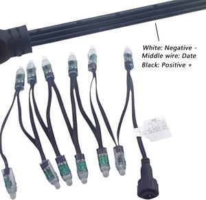 Xconnect防水ピグテール付き500LED <span class=keywords><strong>LED</strong></span>ストリングライト12V <span class=keywords><strong>WS2811</strong></span>ブラックワイヤー12mm弾丸ピクセルノードRGB <span class=keywords><strong>LED</strong></span>ピクセル - Product Image 2