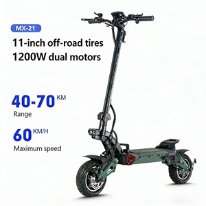 Patinete Eléctrico de Alta Potencia 60V20Ah con Doble Motor y Gran Autonomía, Plegable Wjy-0320, Doble Motor de Alta Potencia que Ofrece un Rendimiento Potente - Product Image 1