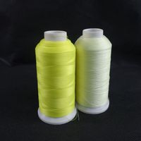 Fil à broder informatisé 150D phosphorescent auto-lumineux Anti-faux nuit fil lumineux Polyester 40g