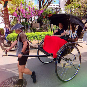รถลากโบราณแบบดั้งเดิมสำหรับการท่องเที่ยวตกแต่งตามสั่งโดยใช้แรงคน - Product Image 3