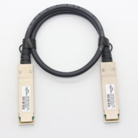 Kabel DAC QSFP56 Pasif Realsea Factory 200G 1M Direct Attach Copper OEM Modul Transceiver QSFP56 Hitam untuk SWITCH