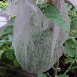 Giá tốt nhất 30 Lưới <span class=keywords><strong>HDPE</strong></span> <span class=keywords><strong>Net</strong></span> cho nhà kính sản phẩm - Product Image 6