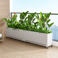 Jardinière mobile rectangulaire sur roulettes pour patio, balcon, bureau, intérieur, extérieur, séparateur d'espace