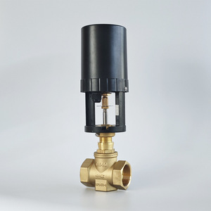 Vanne de régulation électrique en laiton DN50, type proportionnel intégré, pour le traitement des eaux usées - Product Image 3