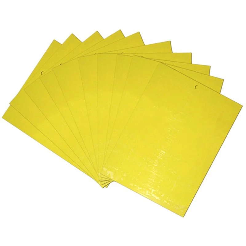 Jaune