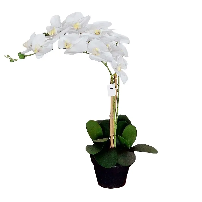 5218 Echte Aanraking Kunstmatige Orchidee Bloem Orchidee Latex Orchidee Bloem