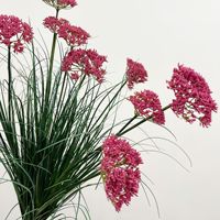 Kunstmatige groene planten, uiengras, kantbloemen, hondentailgras, potplanten voor binnen- en buitenfotografie etalagepresentatie