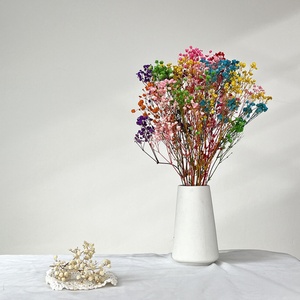 Fleurs de Gypsophile Séchées en Vrac - Nouveauté 2025 Décoration de Mariage Cadeaux de la Saint-Valentin Décoration Intérieure Florale Sabe - Product Image 6