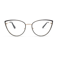 Montures de lunettes œil-de-chat tendance, style informatique, en métal, avec branches torsadées, verres PC, pour adultes, avec étui à lunettes