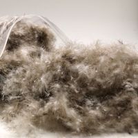 Haute qualité 90% naturel Entendaunen gris remplissage plume de canard vers le bas lavé US Standard duvet de canard gris