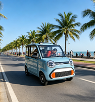 Fourgonnette de livraison électrique alternative, voiture électrique 2 portes 4 places pour la famille, EV personnalisable, porte-bagages en aluminium, 1000W