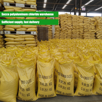 SECCO Offres Spéciales : Chlorure de Polyaluminium (PAC) HCL à 28-30% de Pureté pour le Traitement de l'Eau, Sac de 25kg