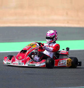 Karts de course à moteur à essence 4 temps 225cc personnalisables à grande vitesse pour enfants et adultes - Product Image 5