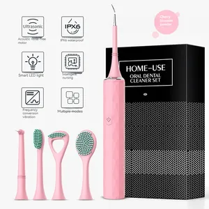 Smart Sonic Electric Toothbrush IPX7 Waterproof Micro Vibration Deep Cleaning Teeth Cleanser Whitener Without Hurting Teeth