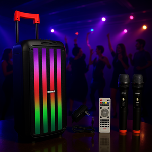 Enceinte DJ portable 8 pouces avec 2 microphones sans fil, lumières RGB, Bluetooth, karaoké, boombox avec télécommande - Product Image 2