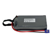 Batterie de drone rechargeable à semi-conducteurs haute capacité 6S 22,2V 80000mAh, décharge 10C, longue autonomie, pour drones industriels