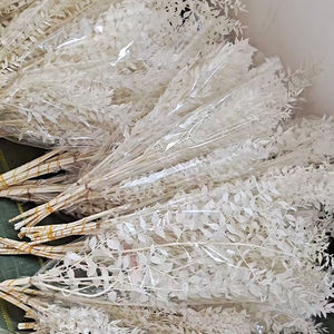 للبيع بالجملة حزم أوراق الأوكالبتوس الطبيعية المحفوظة المجففة من الأوكالبتوس الإيطالي الأبيض الحقيقي - Product Image 3