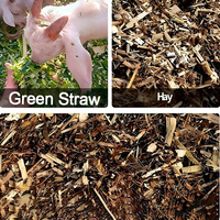 Broyeur de paille à double usage (humide et sec) sans installation requise, pour l'alimentation des bovins, des moutons et du bétail, avec moteur en cuivre