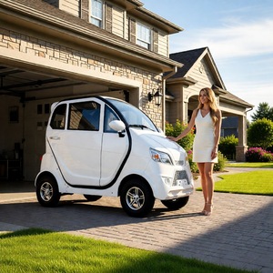 Bicicleta Eléctrica Leo de Cuatro Ruedas, 1000w, 40 km/h, Ligera, con Batería Incluida, para Uso Recreativo de Personas Mayores - Product Image 1