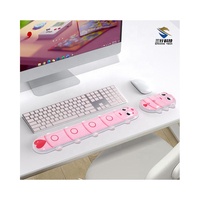Protection de poignet transparente en forme de chenille, petite attelle, ensemble de tapis de souris pour clavier, tapis de souris de jeu en cristal pour PC, pour la maison et le bureau