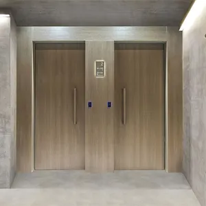 Modern Fire Door Apartment Internal Security Design Fd60 Fire Proof Hotel Solid Luxury Wood Door