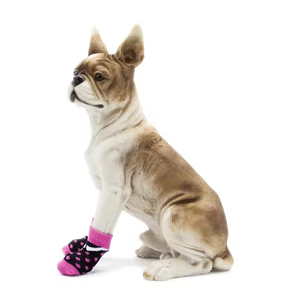 Chaussettes antidérapantes pour chien en latex respirant, design personnalisé, avec protections pour les pattes, pour la marche en extérieur - Product Image 5