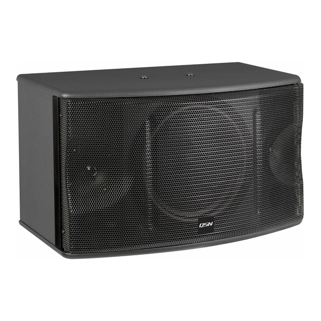 Lowest Price Single 10 Inch Karaoke Speaker KA450 100W for KTV