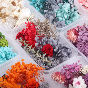 Kit de fleurs séchées Yuluhui, hortensia et rose, emballage en boîte plastique pour artisanat, cadeau et décoration - Product Image 2