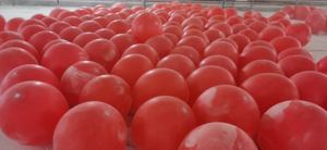 Round <strong>Balloon</strong> Weather <strong>Balloon</strong> High Quality Latex Wholesale 72inch 100g Big <strong>Climb</strong> <strong>in</strong> Meteorologic Red Single Unisex - Product Image 5