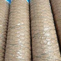 Grillage hexagonal haute résistance de 1/2 pouce, galvanisé à chaud/revêtu de PVC, pour cage à poulets