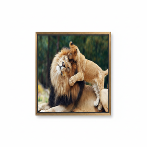 Lion <b>Canvas</b> Print: Wild Animal Tempered Glass <b>Wall</b> Art,GOLD FRAMED <b>CANVAS</b> - Product Image 2