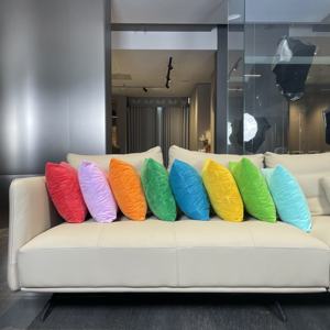 Coussin carré en velours détachable maison canapé décoration oreiller articles de maison jeter oreiller - Product Image 2