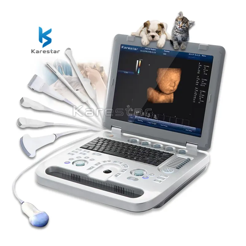 Gelişmiş taşınabilir dijital veteriner renkli Doppler K-C502 3D 4D ultrason tarayıcı