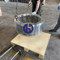 Mesin Granulator Pakan Ternak Matrix Pellet Mill VAN AARSEN C600 Ring Die