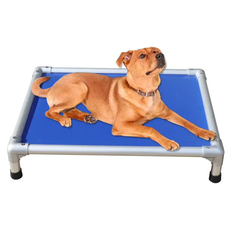 Cama de cachorro de luxo, cama de pvc de luxo elevada para animais de estimação, cama de metal, cama destacável