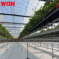 WON Couverture de sol blanche Tapis de contrôle des mauvaises herbes Anti-grass Roll Garden Greenhouse White Barrier Weed