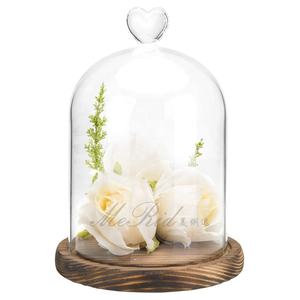 Di alta qualità dimensioni personalizzate squisito vetro Cloche campana a cupola con Base in legno eco-friendly - Product Image 1