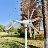 FLYT POWER Grande Promotion Petit Générateur Éolien 1000 Watts 12 Volts 24 Volts Énergie Libre